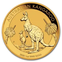 Australian Kangaroo 2020