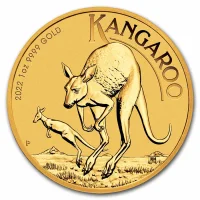 Australian Kangaroo 2022