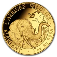 Somalia Elephant 2018