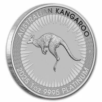 Kangourou Australien Acheter des pièces de platine