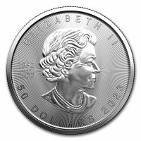 Maple Leaf Acheter des pièces de platine