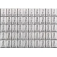 Tablettes d’argent 50 x 1g Acheter des tablettes d`argent