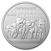 Sumatran Elephant (2022)