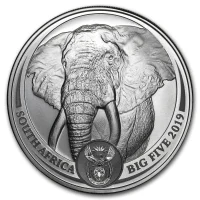Big Five - Elephant 2019