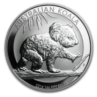 Koala 2016