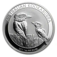 Kookaburra 2017