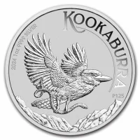 Kookaburra 2024