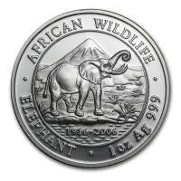 Somalia Elephant 2006