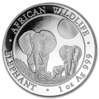 Somalia Elephant 2014
