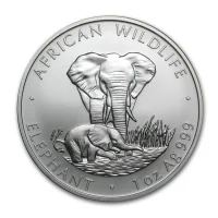 Zambia Elephant Acheter des pièces d'argent